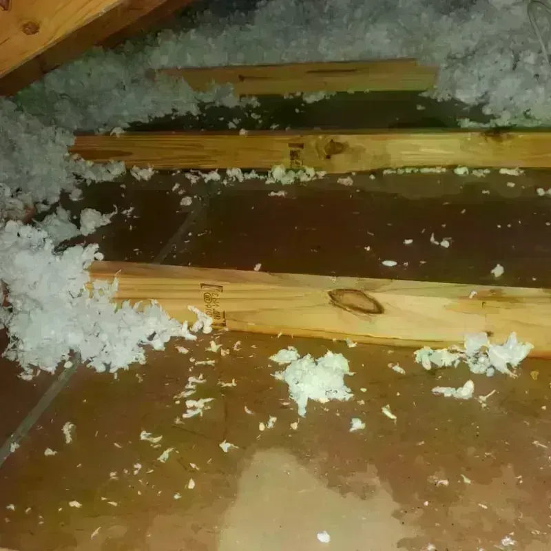 Attic Water Damage in Yalaha, FL